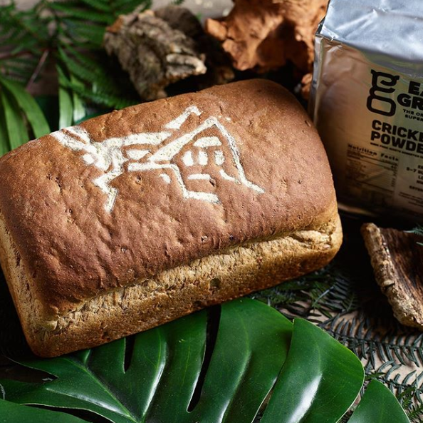 Bread_cricket.png Bread_cricket.png